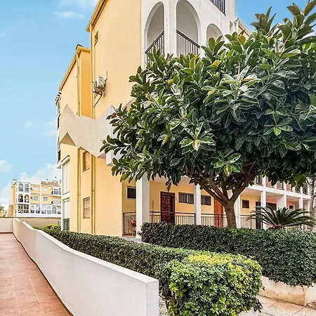 Pet Friendly In With Wifi Torrevieja